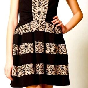 Eva Franco Ponte Pleated Laced Strata Dress Size 4